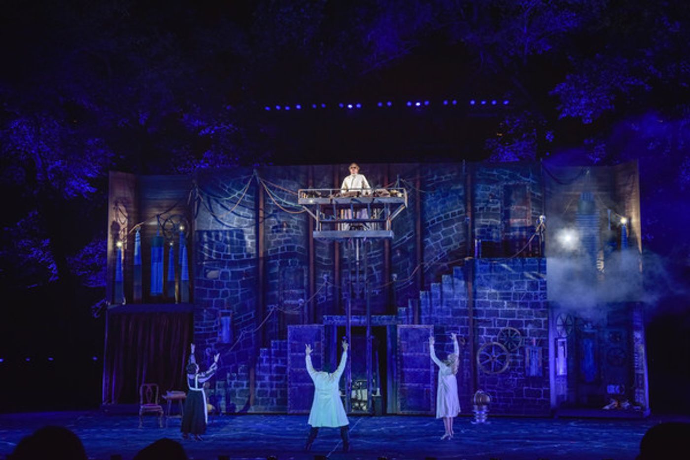 Photo Flash: First Look at Robert Petkoff, Stephanie Gibson, Steve Rosen and More in YOUNG FRANKENSTEIN at The Muny  Image