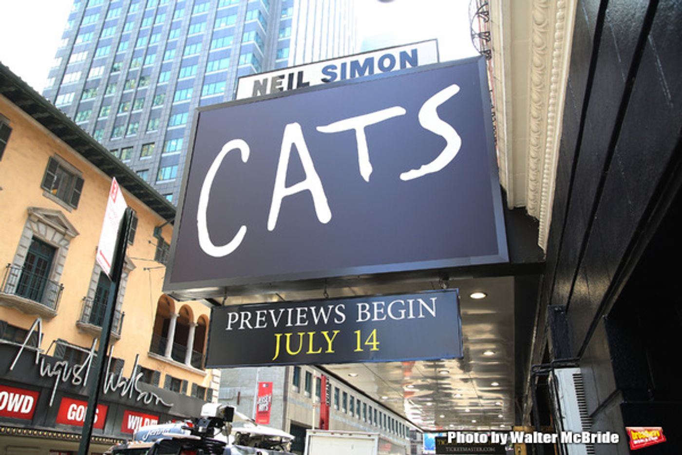 Photo Coverage: The Purrrrfect Cast Gets Ready to Bring CATS Back to Broadway!  Image