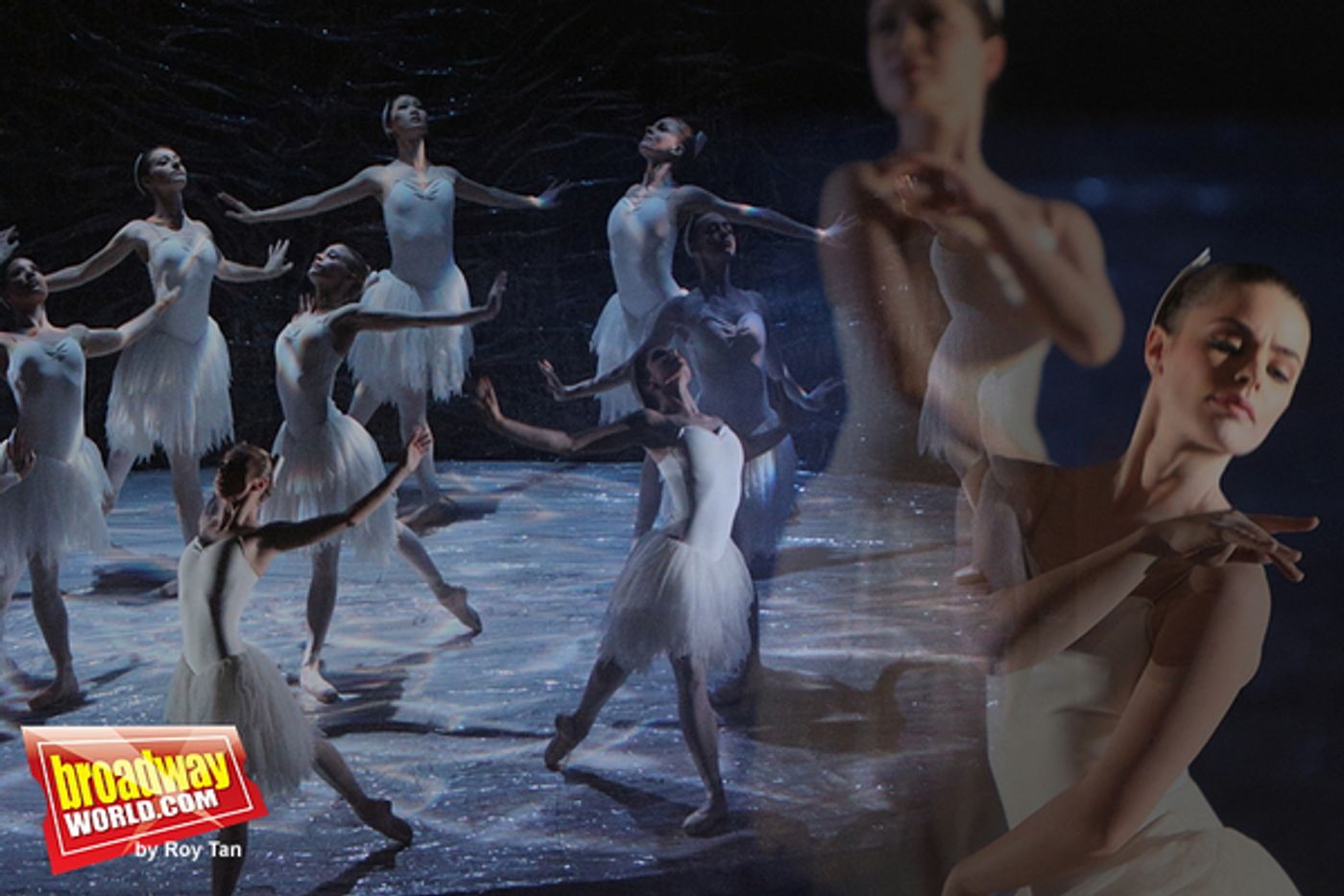 Photo Coverage: The Australian Ballet's SWAN LAKE Graces the Stage at ENO Photo Coverage: The Australian Ballet's SWAN LAKE Graces the Stage at ENO Image
