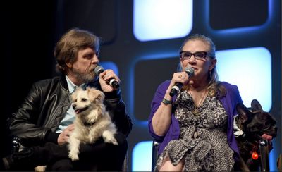 Mark Hamill, Carrie Fisher Photo