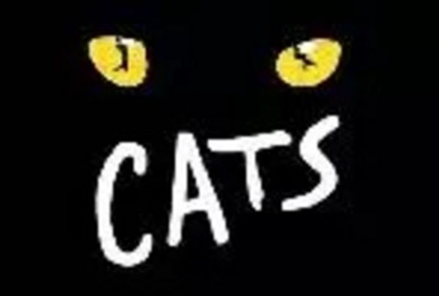 What's Playing on Broadway: Thanksgiving Weekend Edition! Image