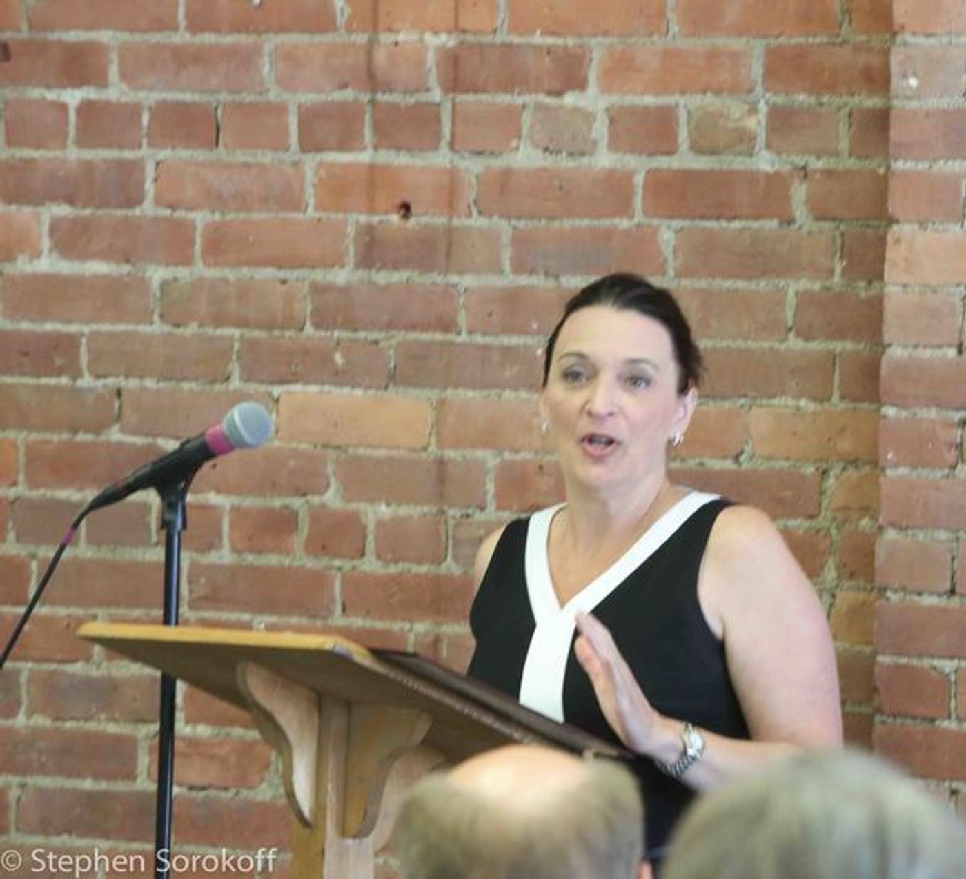 Photo Coverage: Barrington Stage Company Announces The Creation Of The Wolfson Theater Center  Image