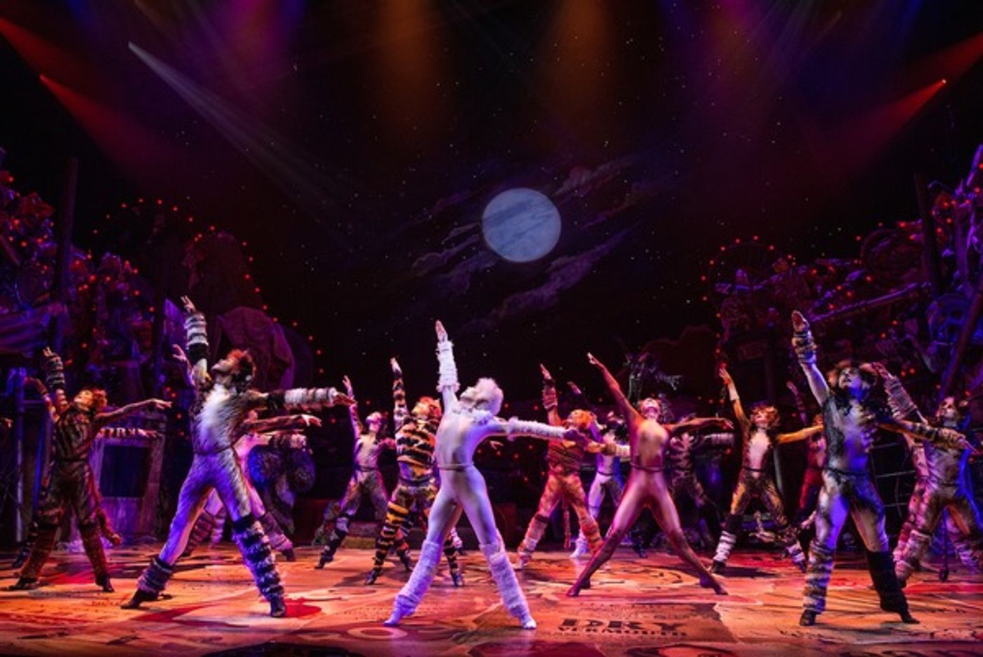 Photo Flash: Jellicle CATS Come out Tonight - First Look at the Broadway Revival!  Image