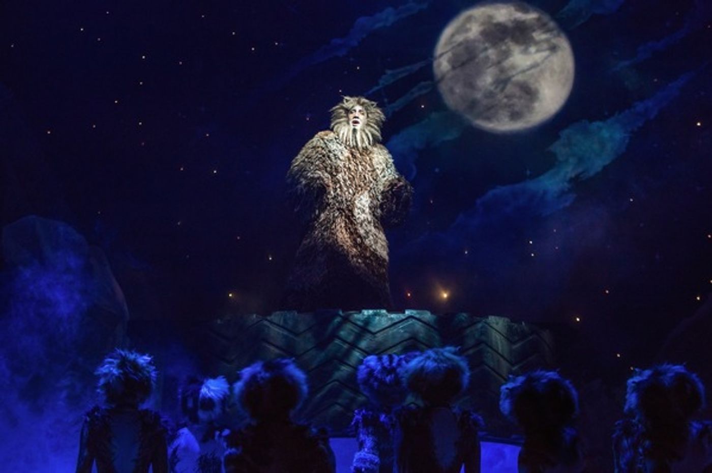 Photo Flash: Jellicle CATS Come out Tonight - First Look at the Broadway Revival!  Image