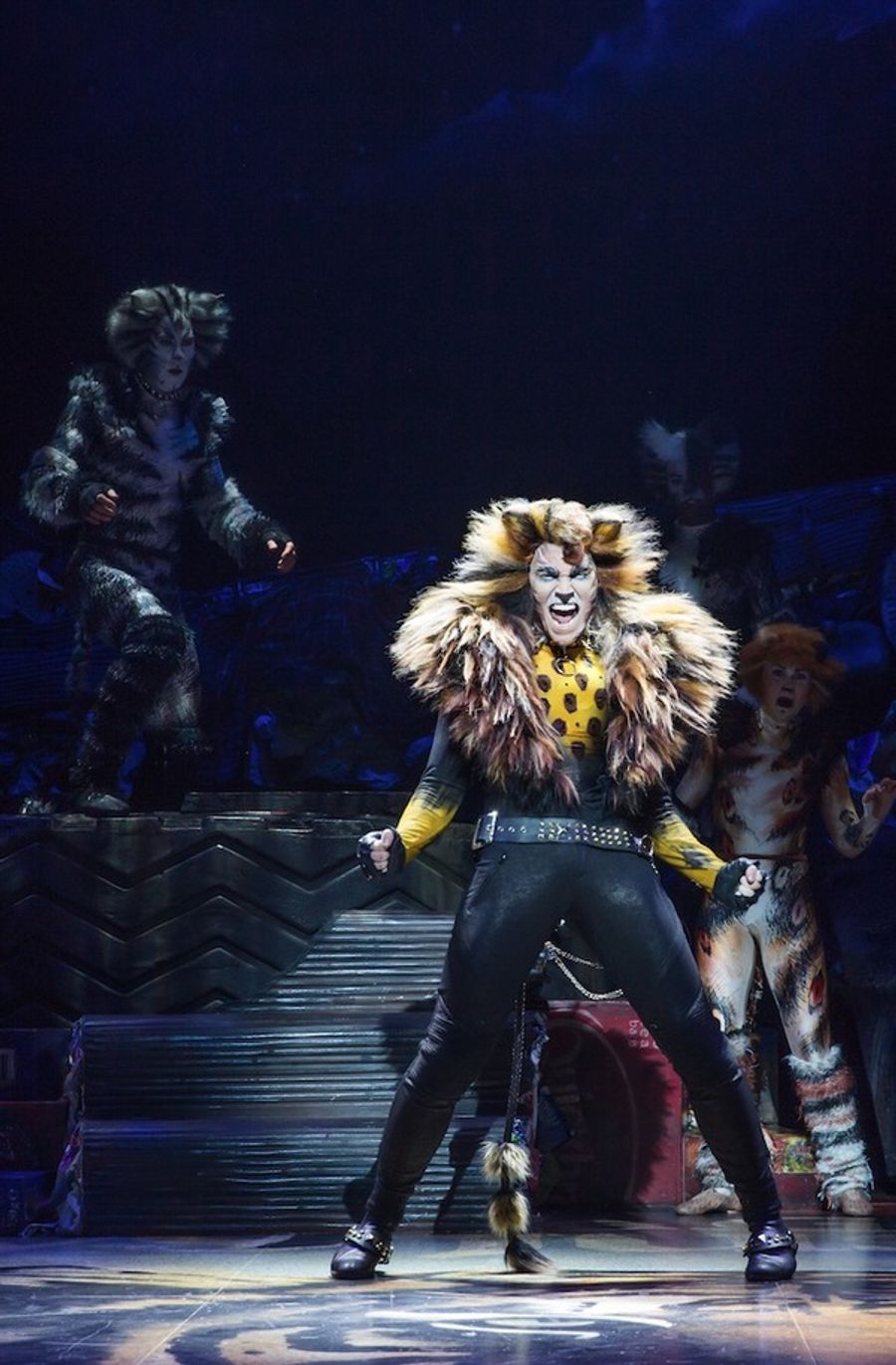 Photo Flash: Jellicle CATS Come out Tonight - First Look at the Broadway Revival! Image