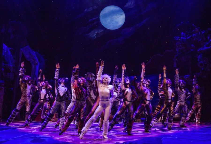 Photo Flash: Jellicle CATS Come out Tonight - First Look at the Broadway Revival! Image