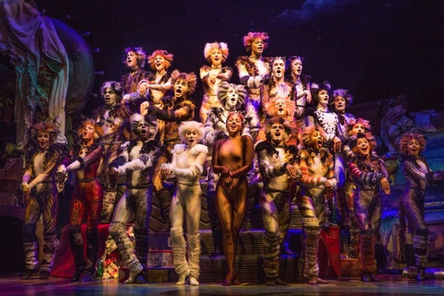 Photo Flash: Jellicle CATS Come out Tonight - First Look at the Broadway Revival! Image