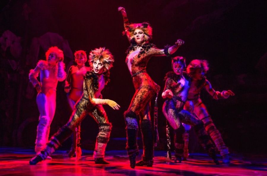 Photo Flash: Jellicle CATS Come out Tonight - First Look at the Broadway Revival! Image
