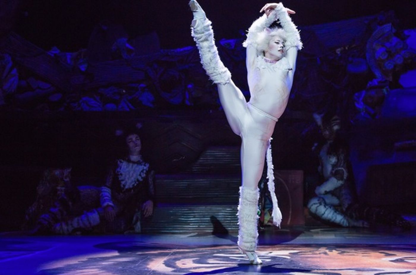 Photo Flash: Jellicle CATS Come out Tonight - First Look at the Broadway Revival!  Image