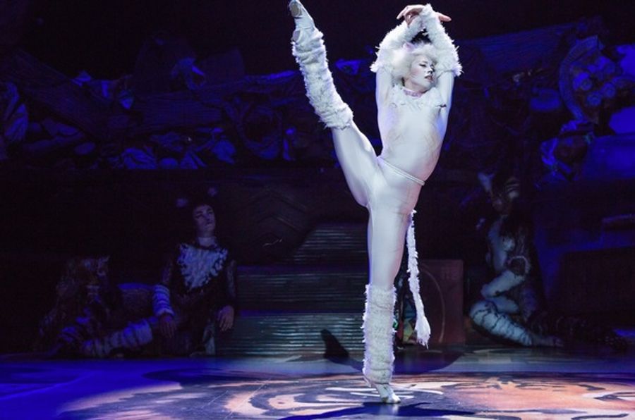 Photo Flash: Jellicle CATS Come out Tonight - First Look at the Broadway Revival! Image