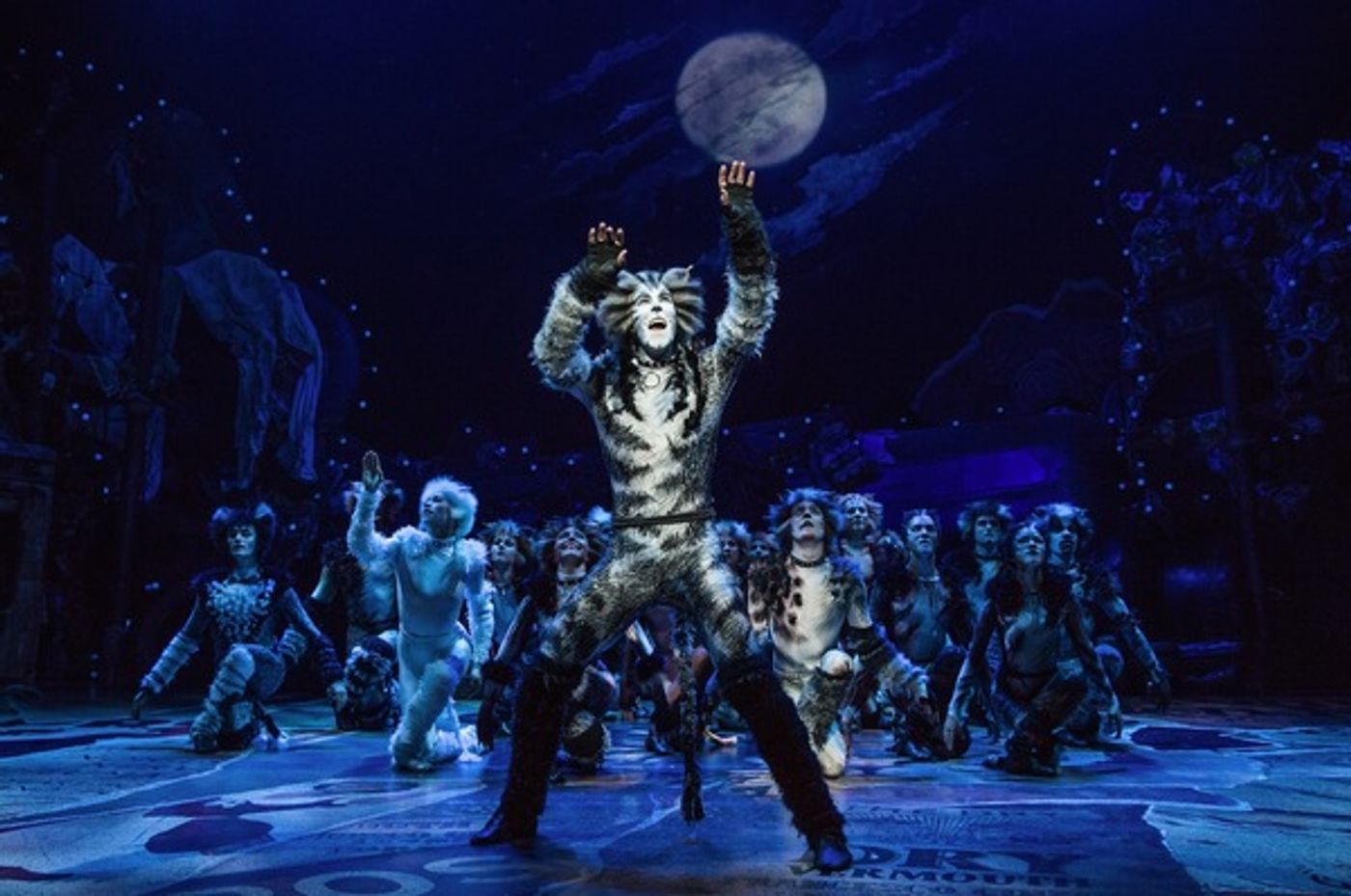 Photo Flash: Jellicle CATS Come out Tonight - First Look at the Broadway Revival!  Image