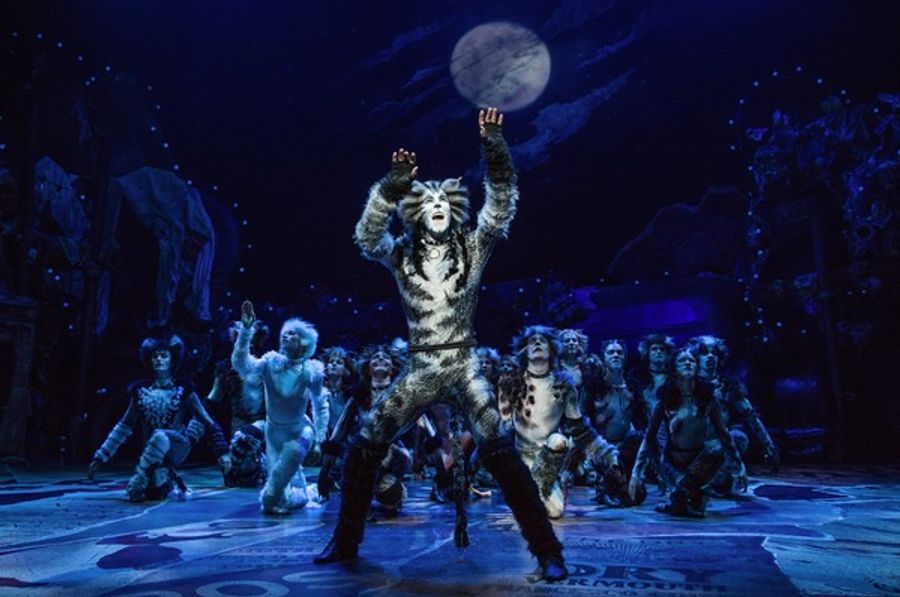 Photo Flash: Jellicle CATS Come out Tonight - First Look at the Broadway Revival! Image