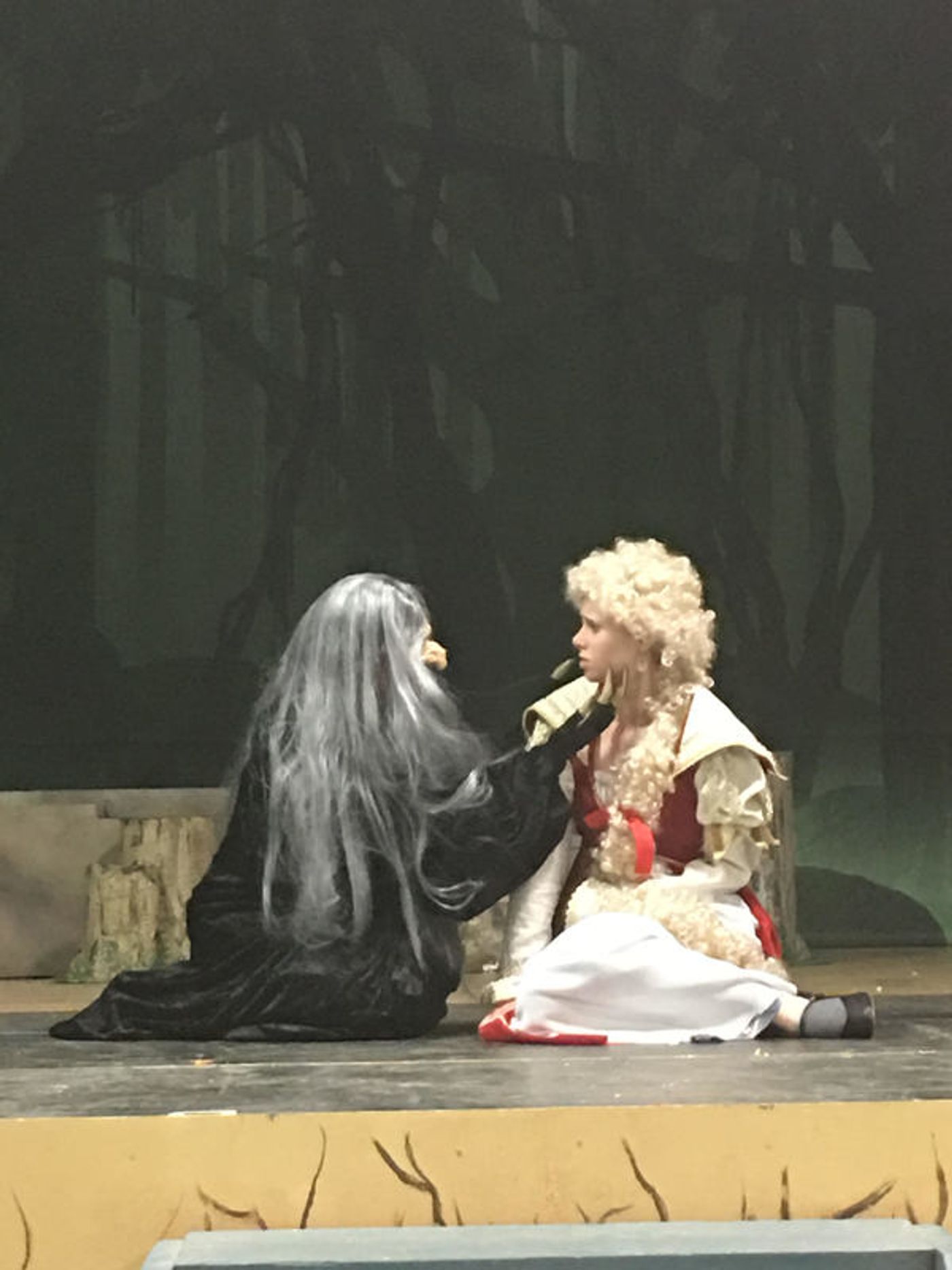 Photo Flash: Into the Woods at St. Catherine of Bologna Performing Arts Guild  Image