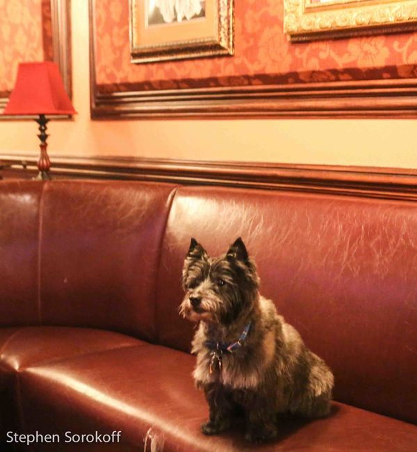 Photo Coverage: Feinstein's/54 Below's Lynn Bound & Amy's Bread Create New Sandwich To Benefit Broadway Barks  Image
