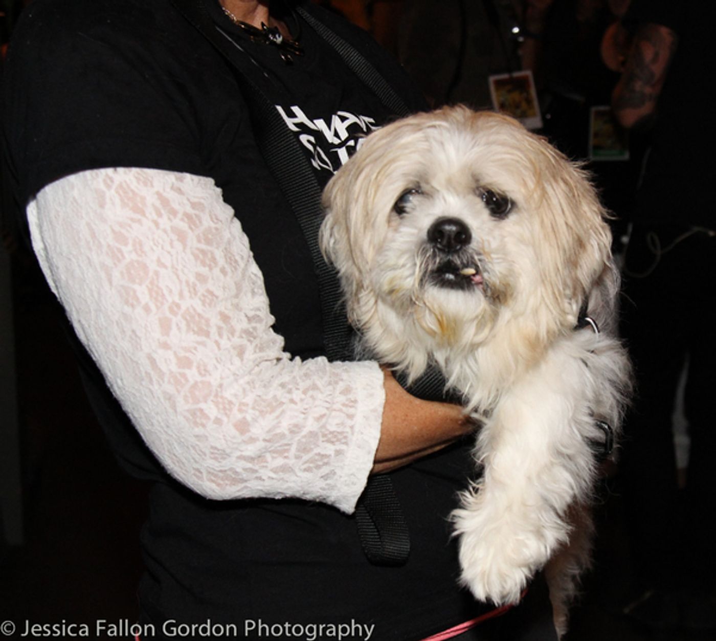 Photo Coverage: It's Puppy Love- Go Inside 18th Annual Broadway Barks!  Image