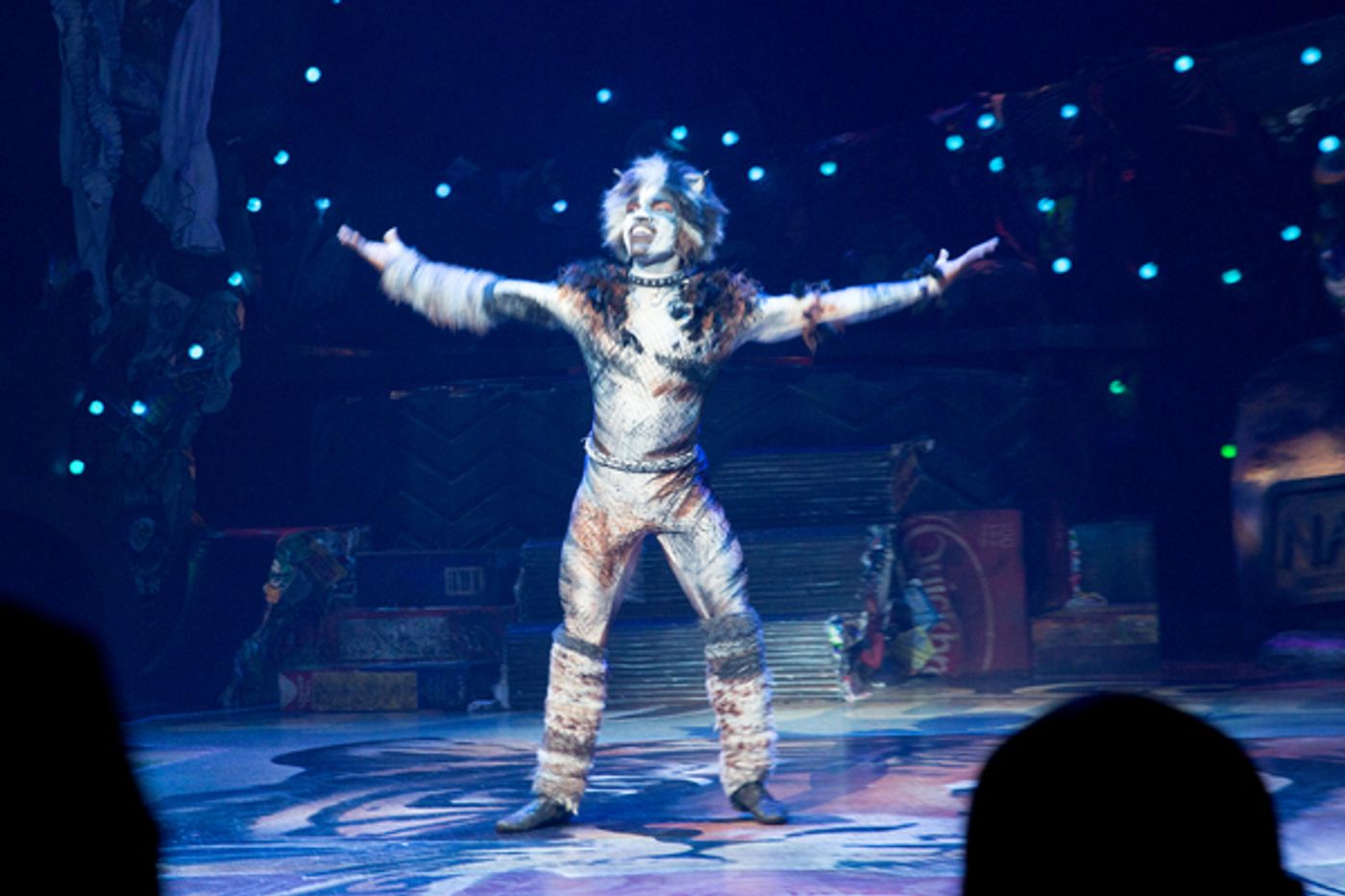 Photo Coverage: A Very Jellicle Opening Night- CATS Takes First Bows! Image