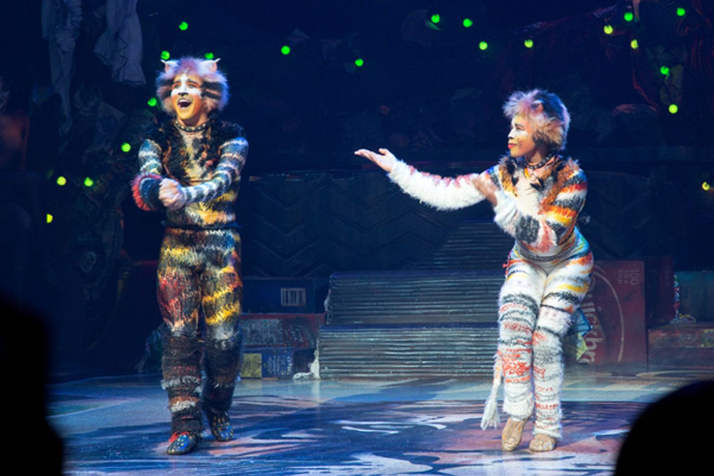 Photo Coverage: A Very Jellicle Opening Night- CATS Takes First Bows! Image