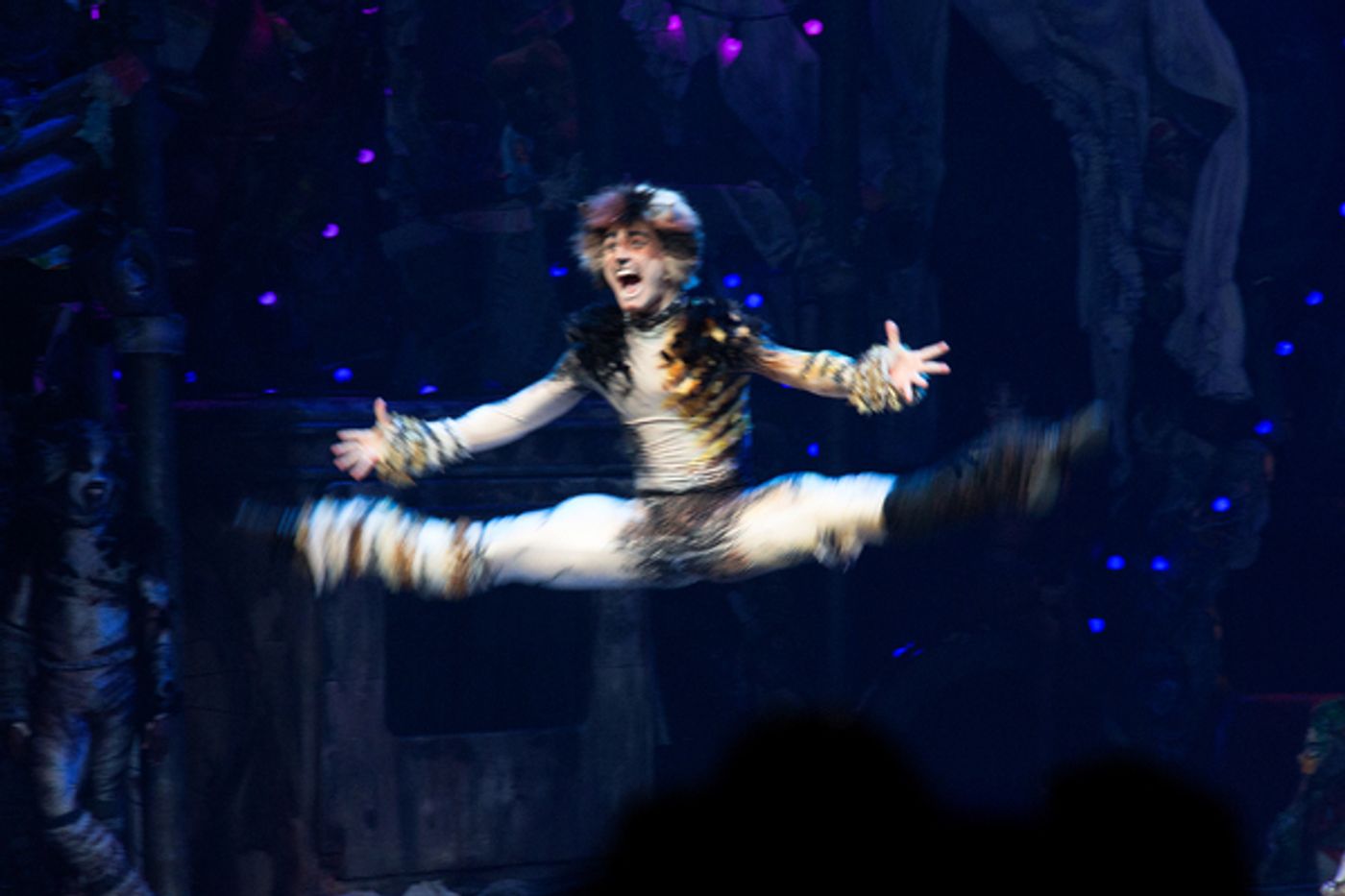 Photo Coverage: A Very Jellicle Opening Night- CATS Takes First Bows! Image