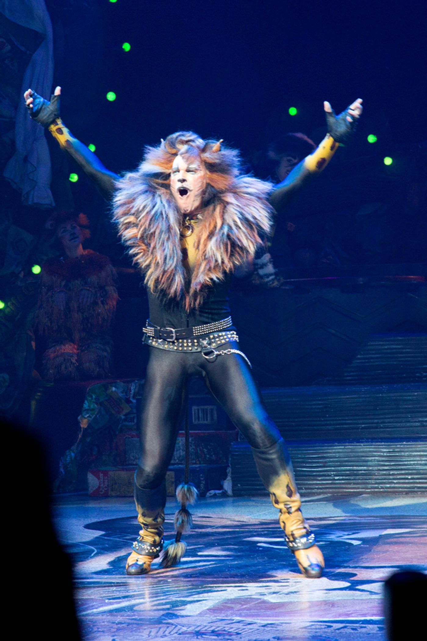 Photo Coverage: A Very Jellicle Opening Night- CATS Takes First Bows! Image