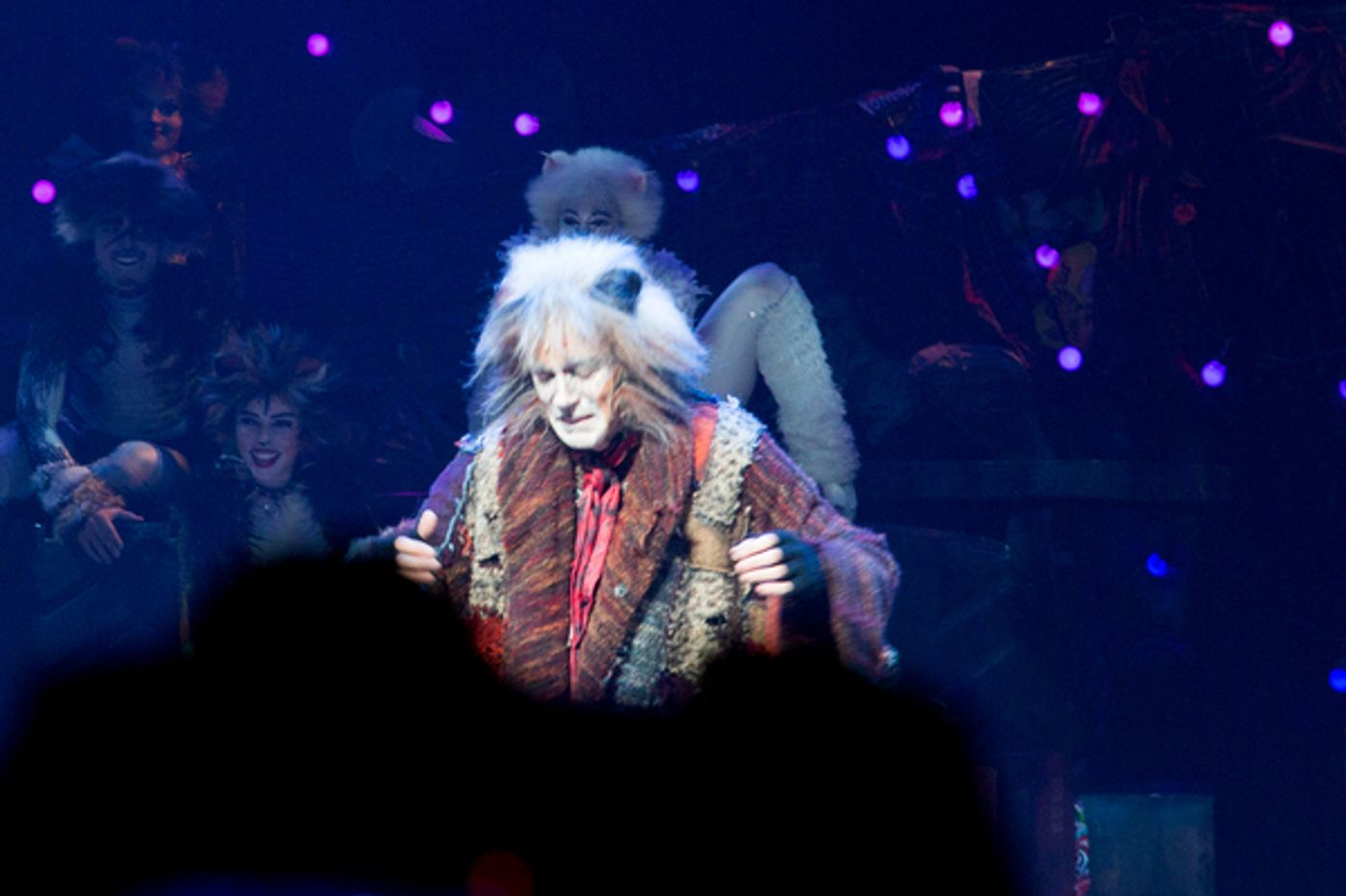 Photo Coverage: A Very Jellicle Opening Night- CATS Takes First Bows! Image