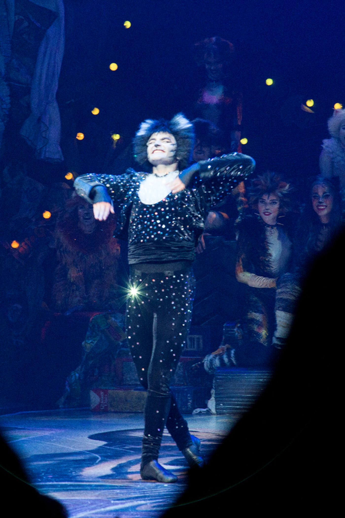 Photo Coverage: A Very Jellicle Opening Night- CATS Takes First Bows! Image