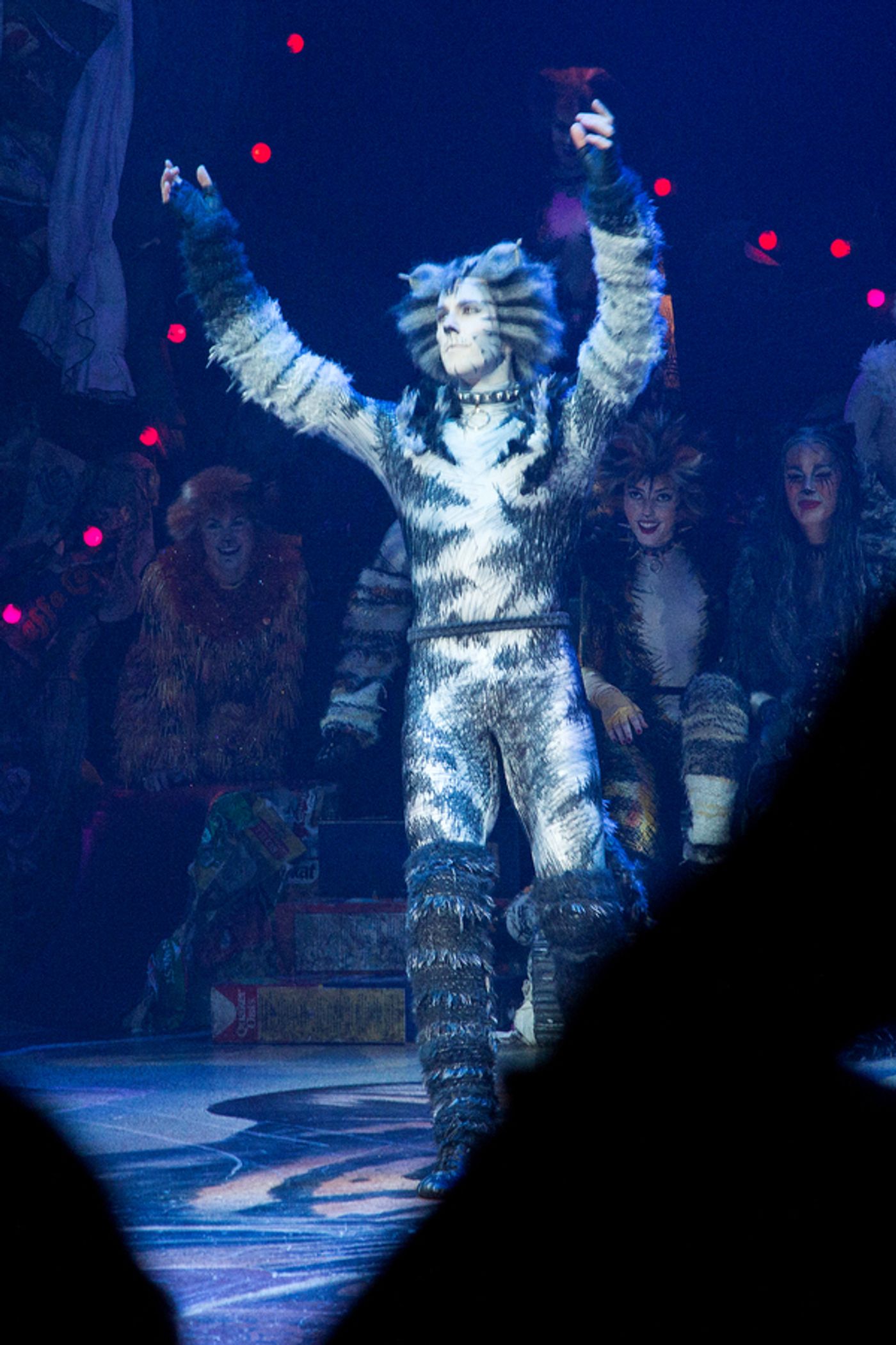 Photo Coverage: A Very Jellicle Opening Night- CATS Takes First Bows! Image