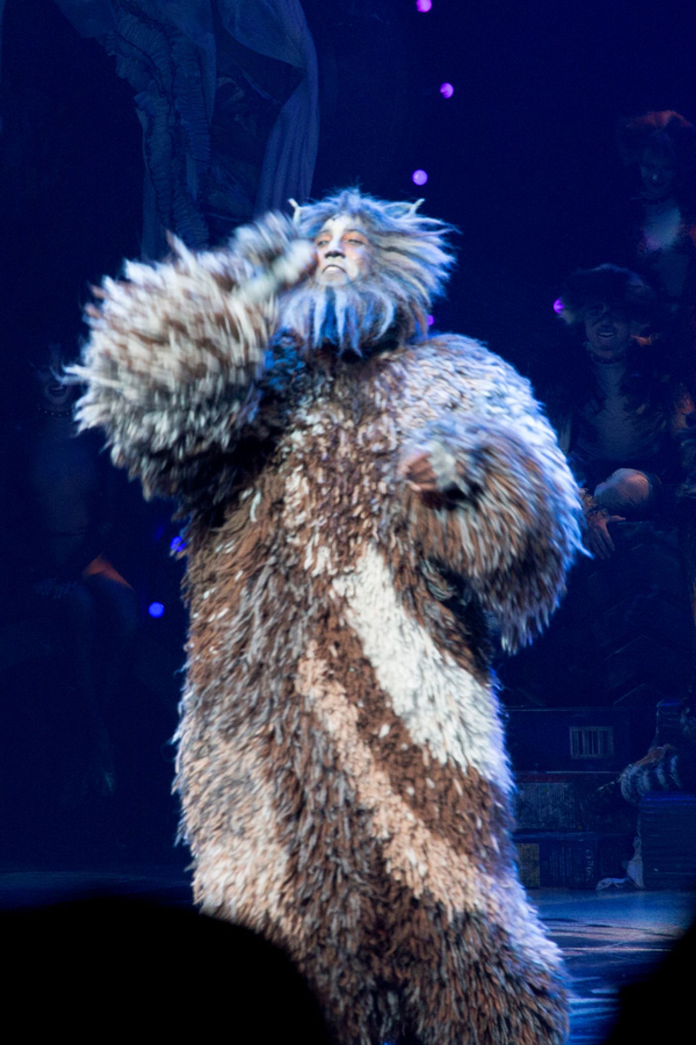 Photo Coverage: A Very Jellicle Opening Night- CATS Takes First Bows! Image