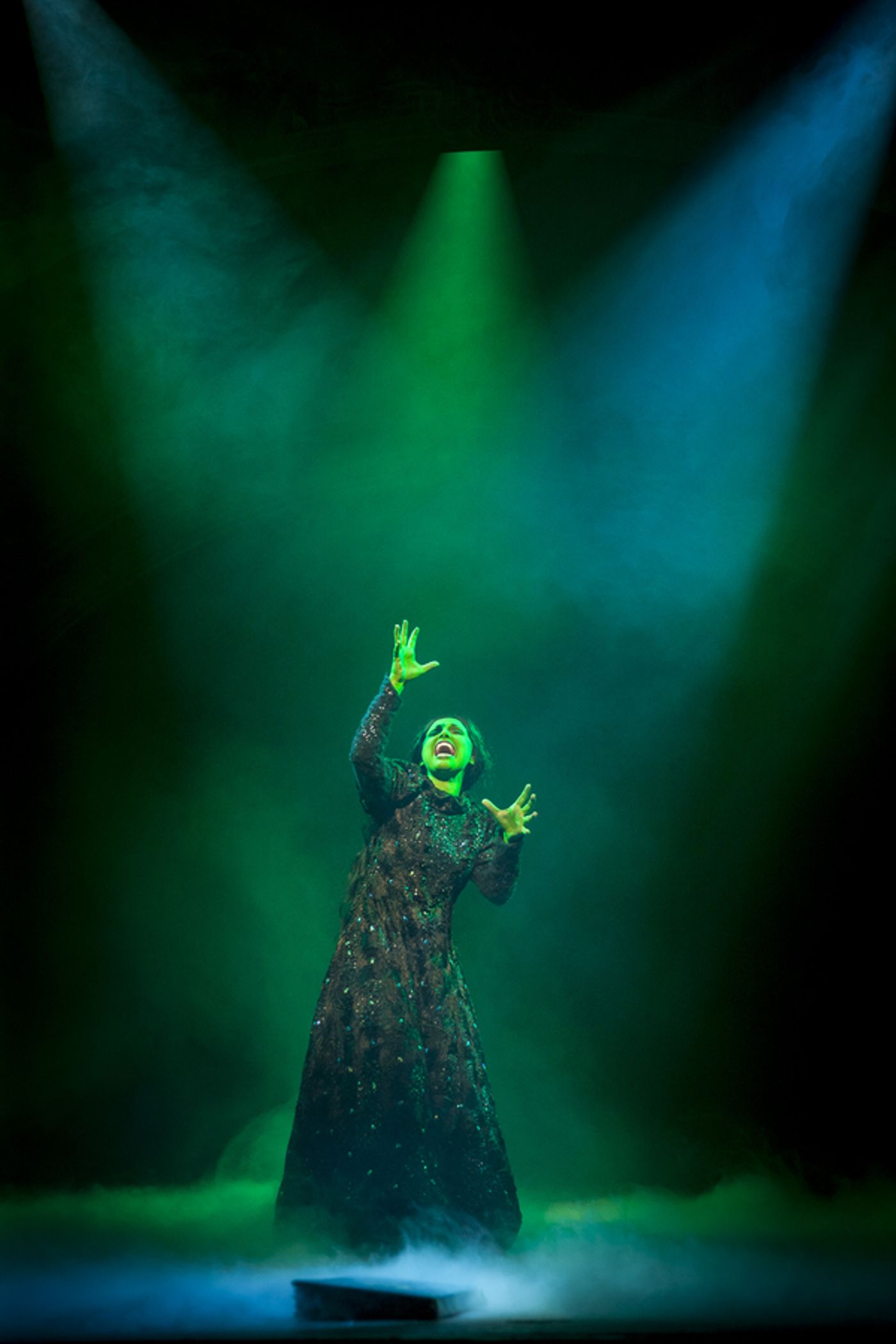 Photo Flash: First Look at Wayne Scott Kermond, Ashleigh O'Brien and More in the Australian Non-Professional Production of WICKED Image