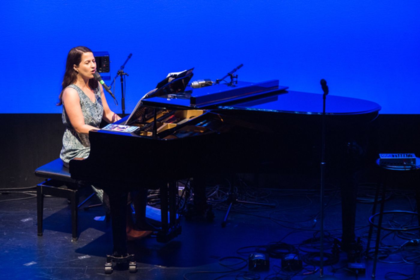 Photo Flash: Betsy Wolfe, Margo Seibert, Shaina Taub and More Take Part in WOMEN OF NOTE at NYMF  Image
