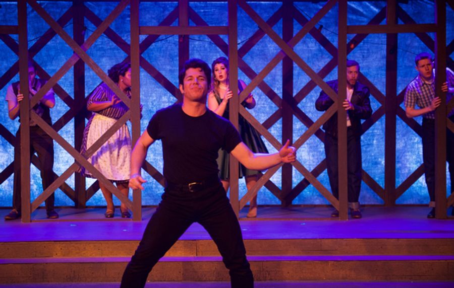 Photo Flash: texARTS Production of ALL SHOOK UP Image
