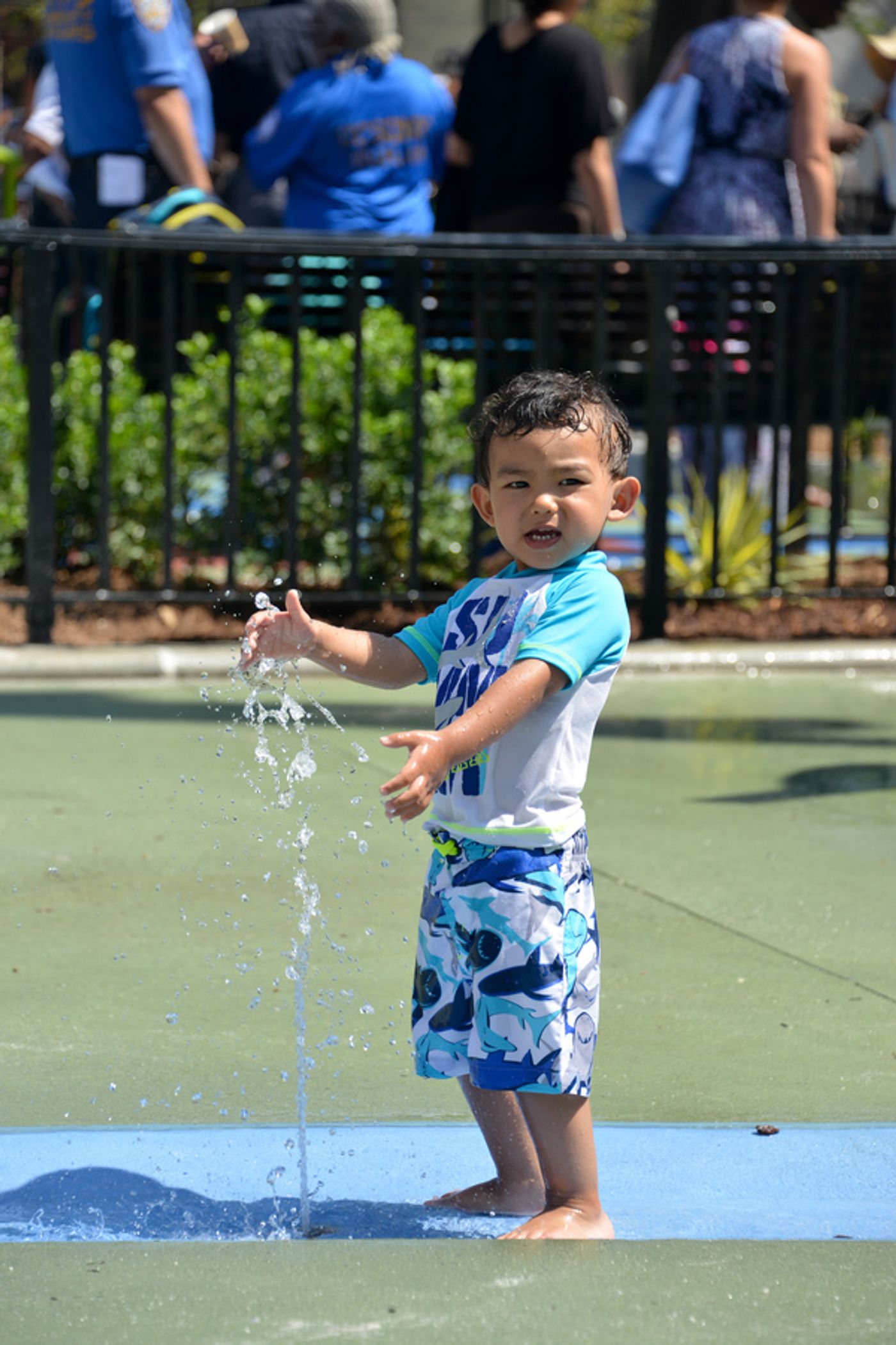 Photo Flash: NYC Parks Transforms White Park Into East Harlem Oasis Photo Flash: NYC Parks Transforms White Park Into East Harlem Oasis Image