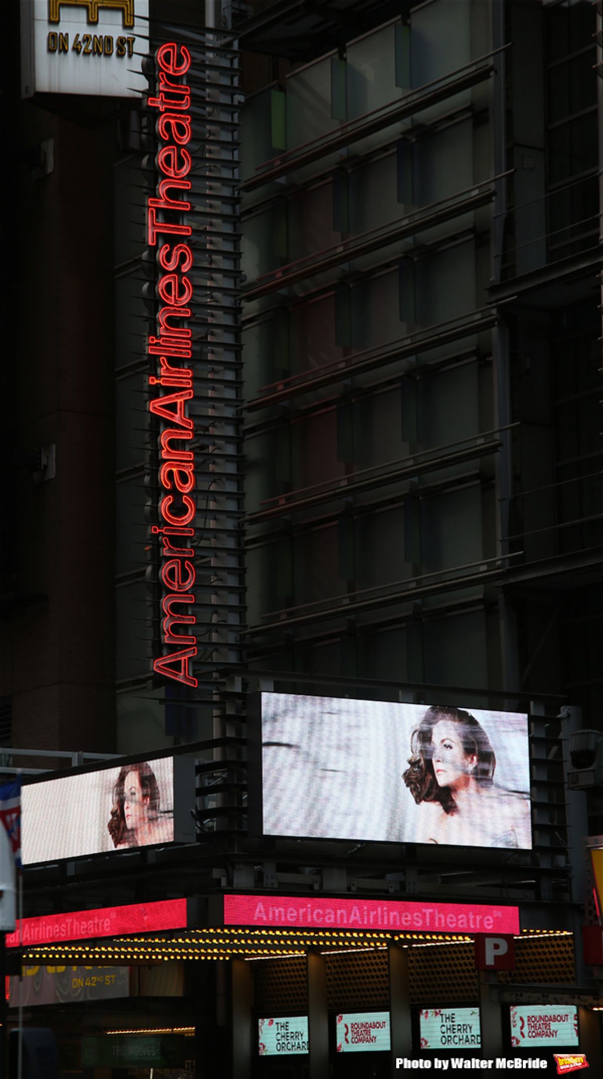  'The Cherry Orchard' starring Diane Lane at 