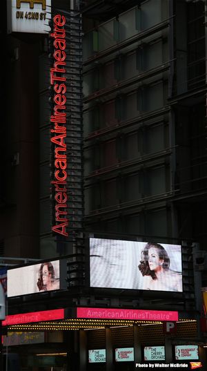  'The Cherry Orchard' starring Diane Lane Photo