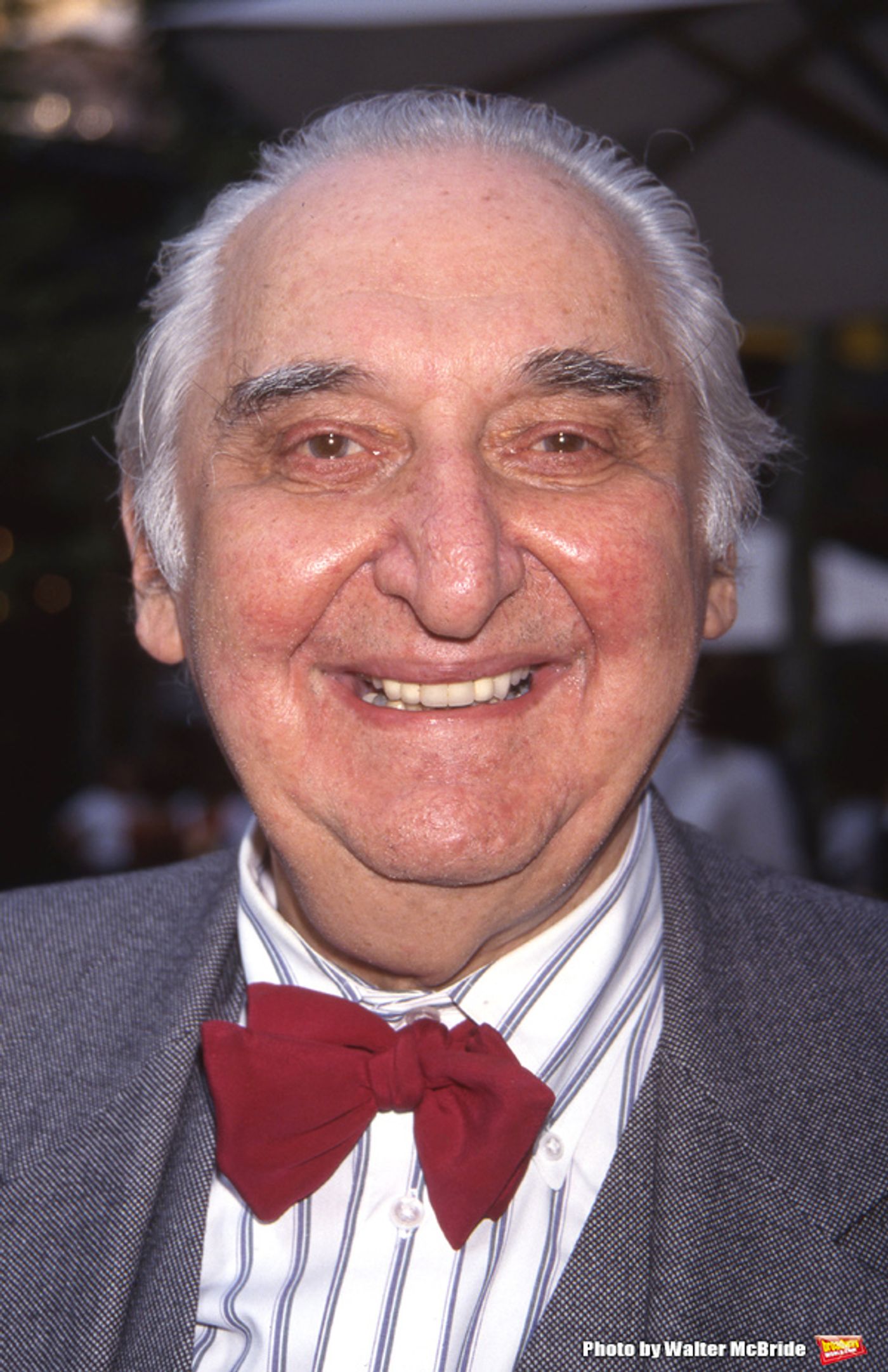 Photo Flash: Remembering Fyvush Finkel  Image