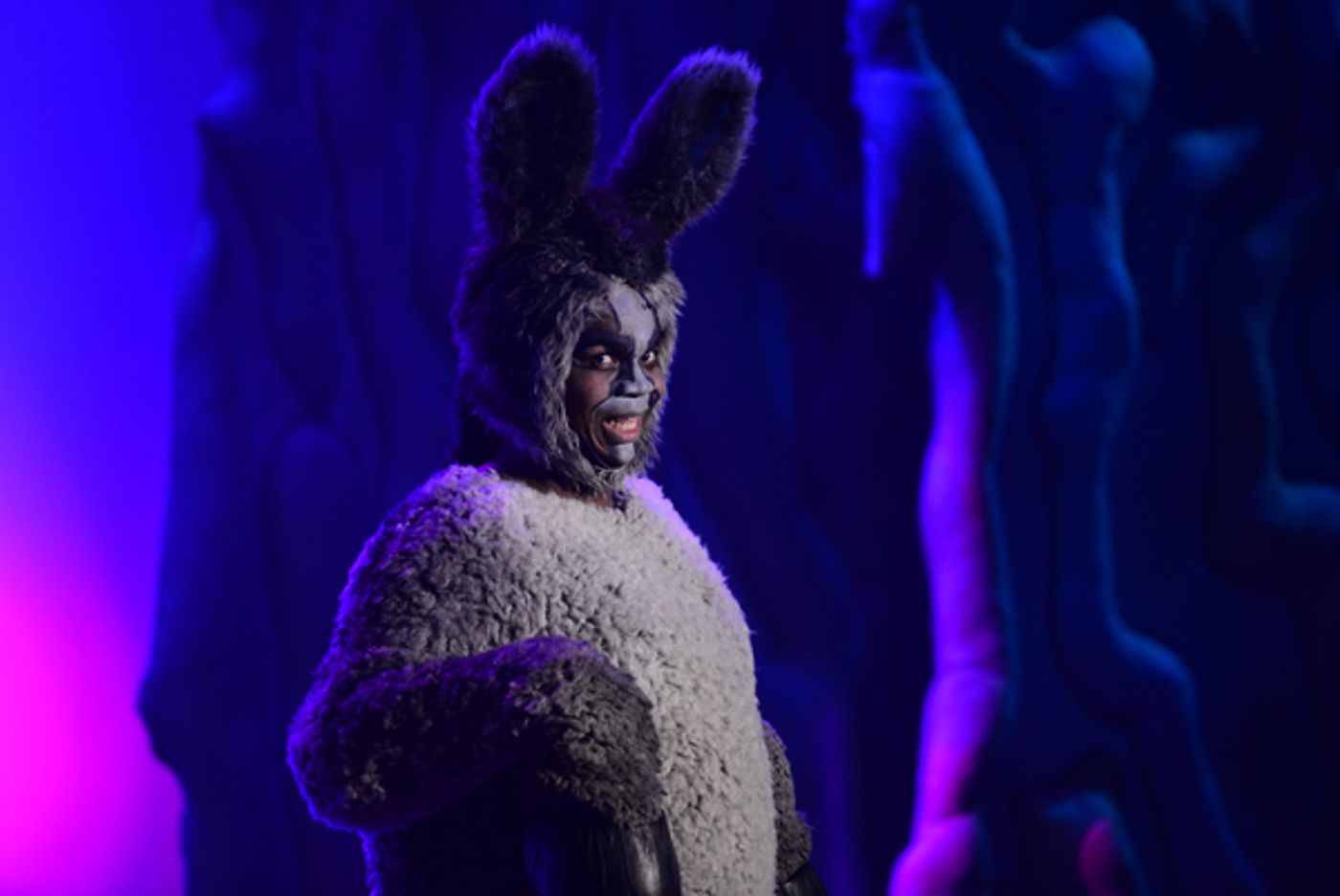 Photo Flash: First Look at SHREK THE MUSICAL at Atlanta Lyric Theatre  Image