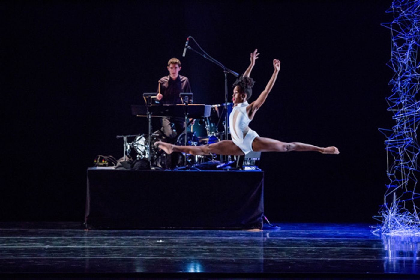 Photo Flash: Sneak Peek at Visceral Dance Chicago's Fall Engagement  Image