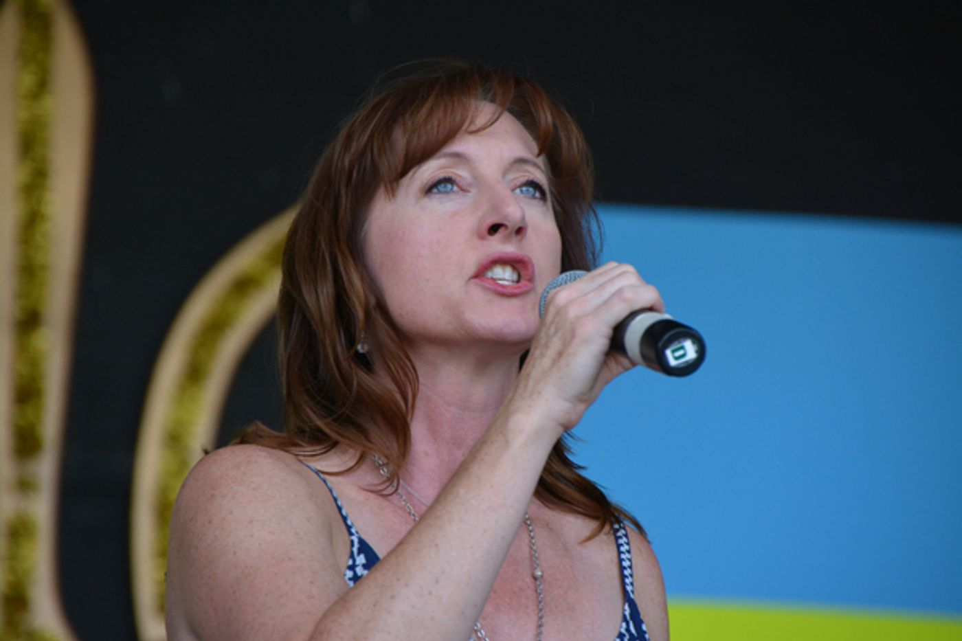 Photo Coverage: Neil Berg's 100 Years of Broadway at The Harry Chapin Lakeside Theater  Image