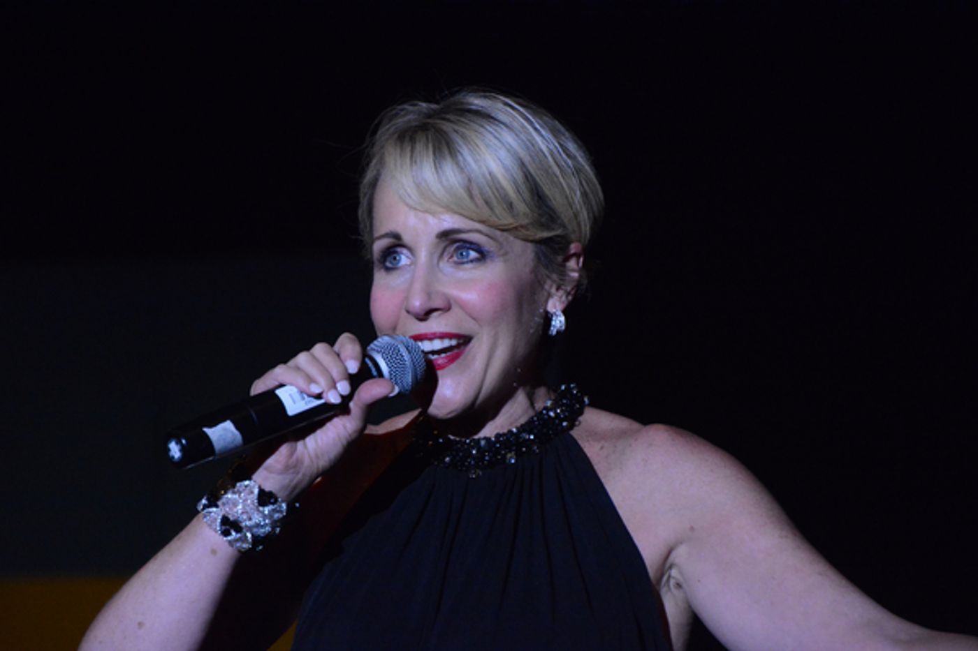 Photo Coverage: Neil Berg's 100 Years of Broadway at The Harry Chapin Lakeside Theater  Image