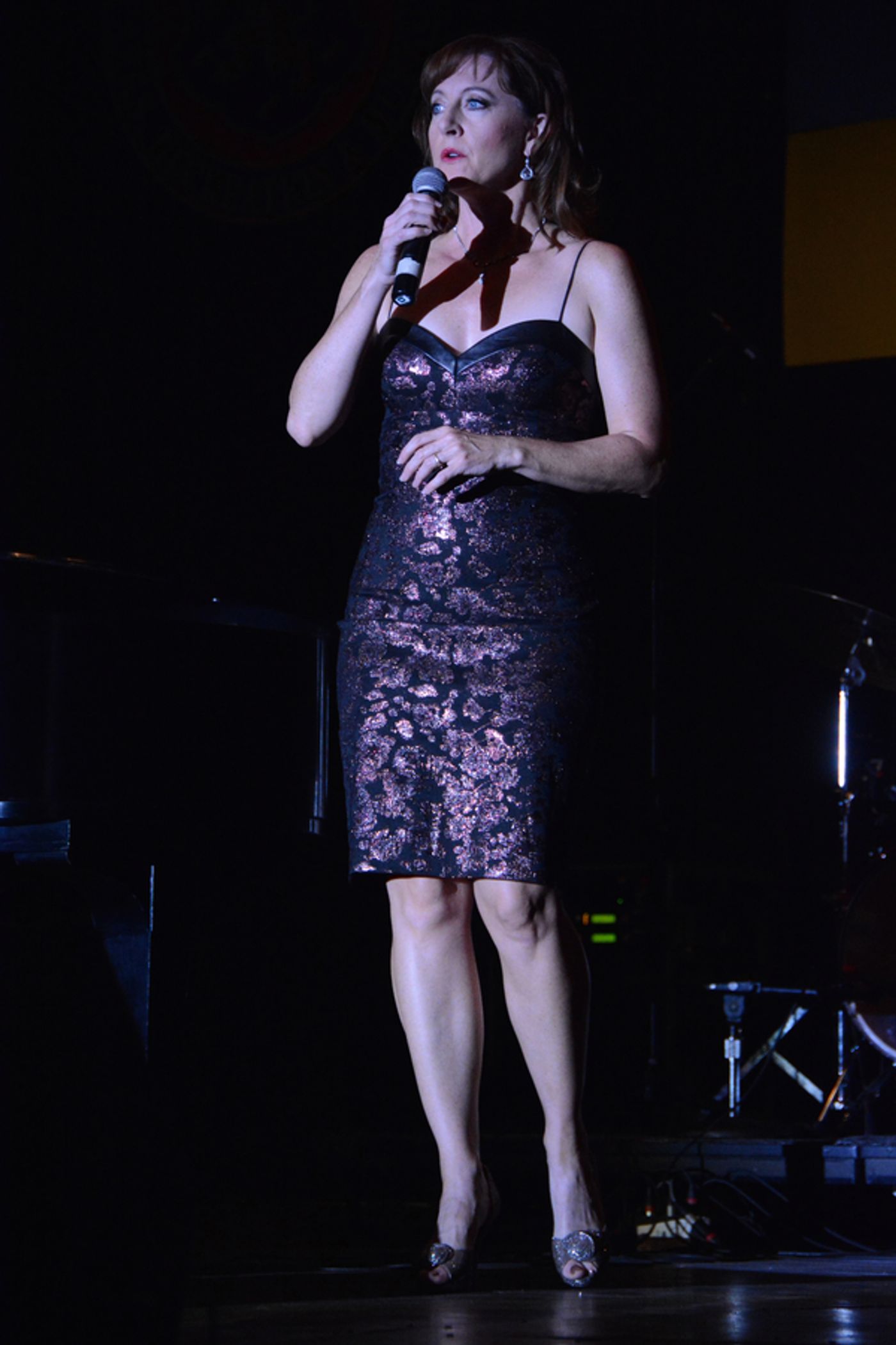 Photo Coverage: Neil Berg's 100 Years of Broadway at The Harry Chapin Lakeside Theater  Image
