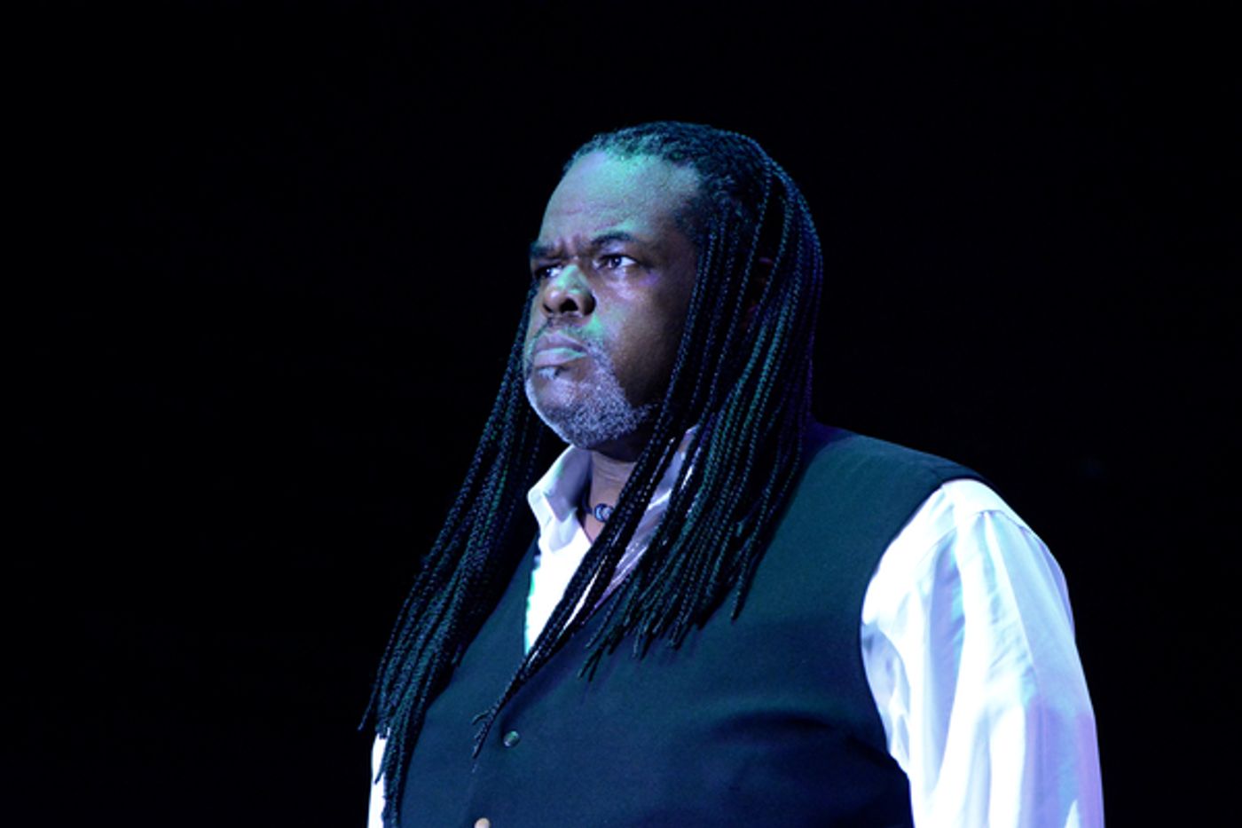 Photo Coverage: Neil Berg's 100 Years of Broadway at The Harry Chapin Lakeside Theater Photo Coverage: Neil Berg's 100 Years of Broadway at The Harry Chapin Lakeside Theater Image