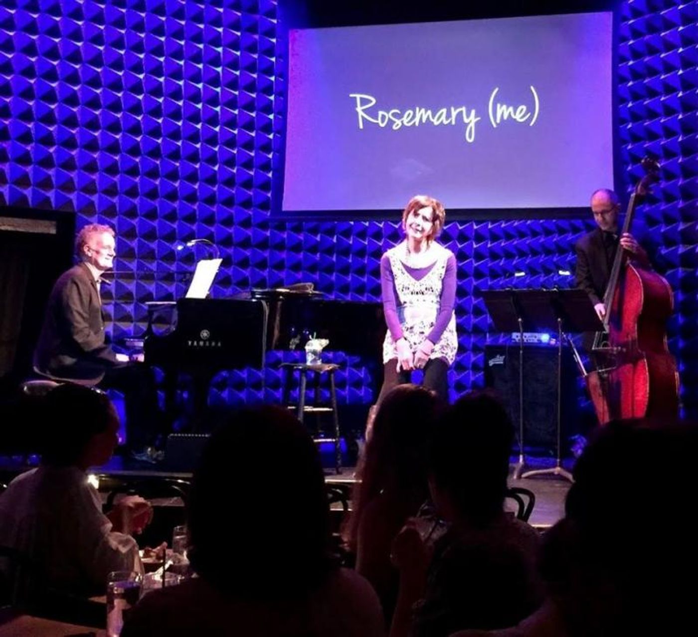 Review: Sting Fans Come To Life at Joe's Pub in Rosemary Loar's Imaginative 'STING*chronicity'  Image