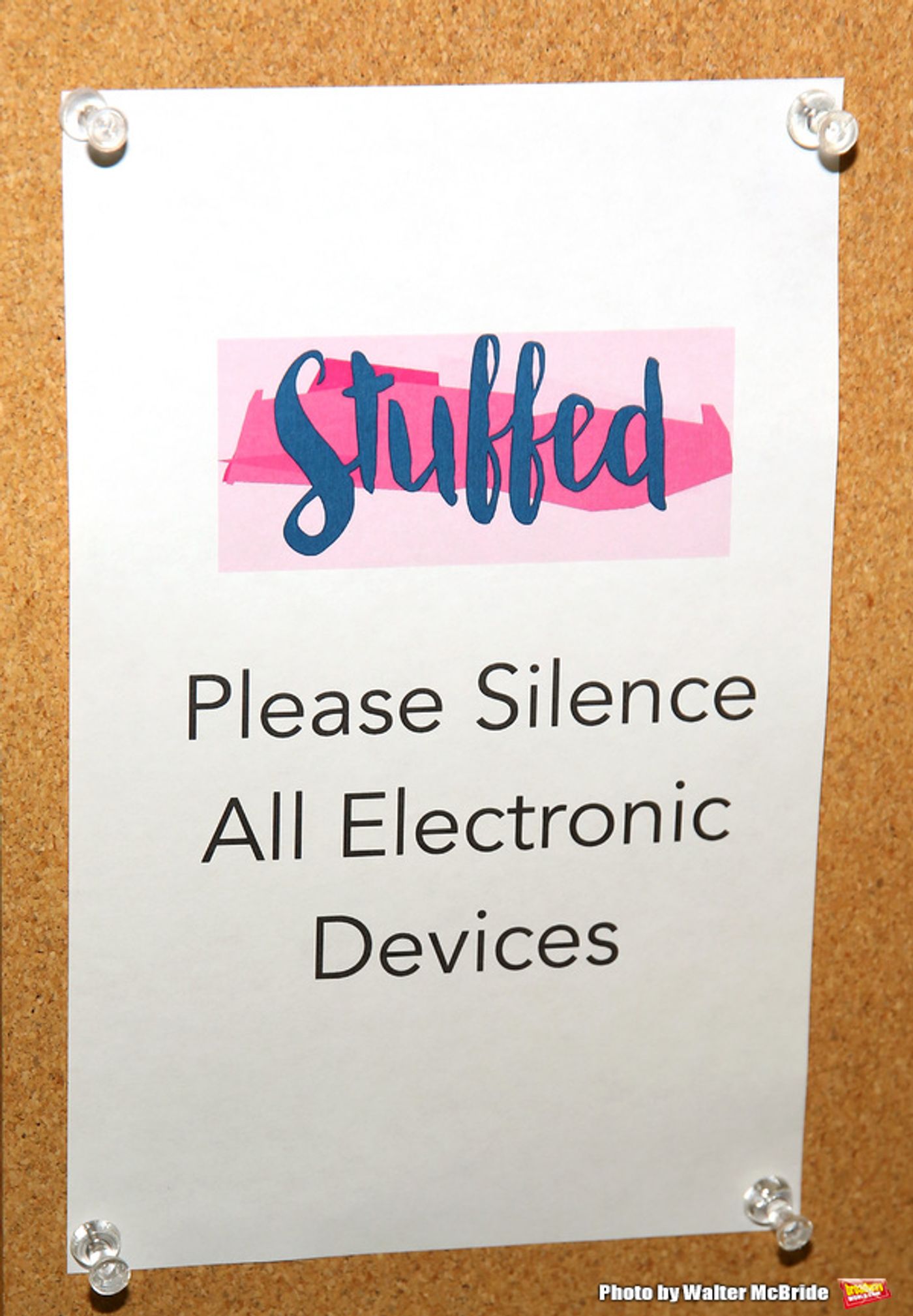 Photo Coverage: Lisa Lampanelli & the Company of STUFFED Meets the Press!  Image