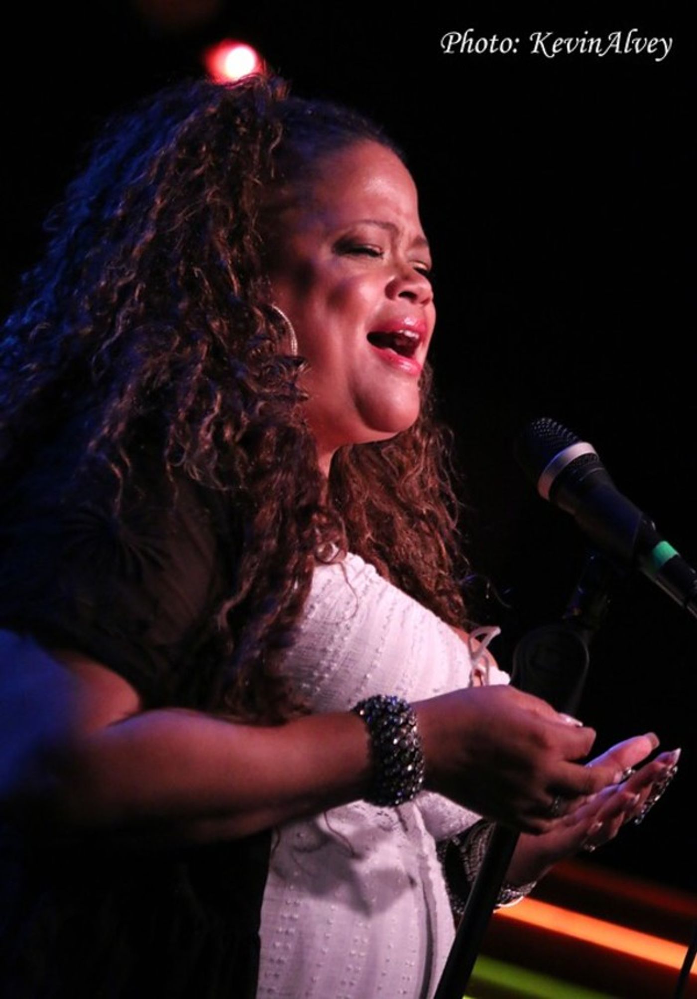 Photo Flash: Natalie Douglas Sings Stevie Wonder & Stevie Nicks at Birdland  Image