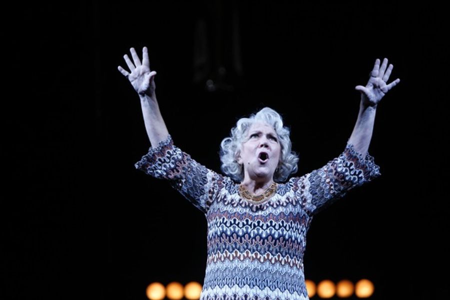 Photo Flash: First Look at Christiane Noll, Emily Skinner, Adam Heller, Bradley Dean and More in The Rep's FOLLIES Image