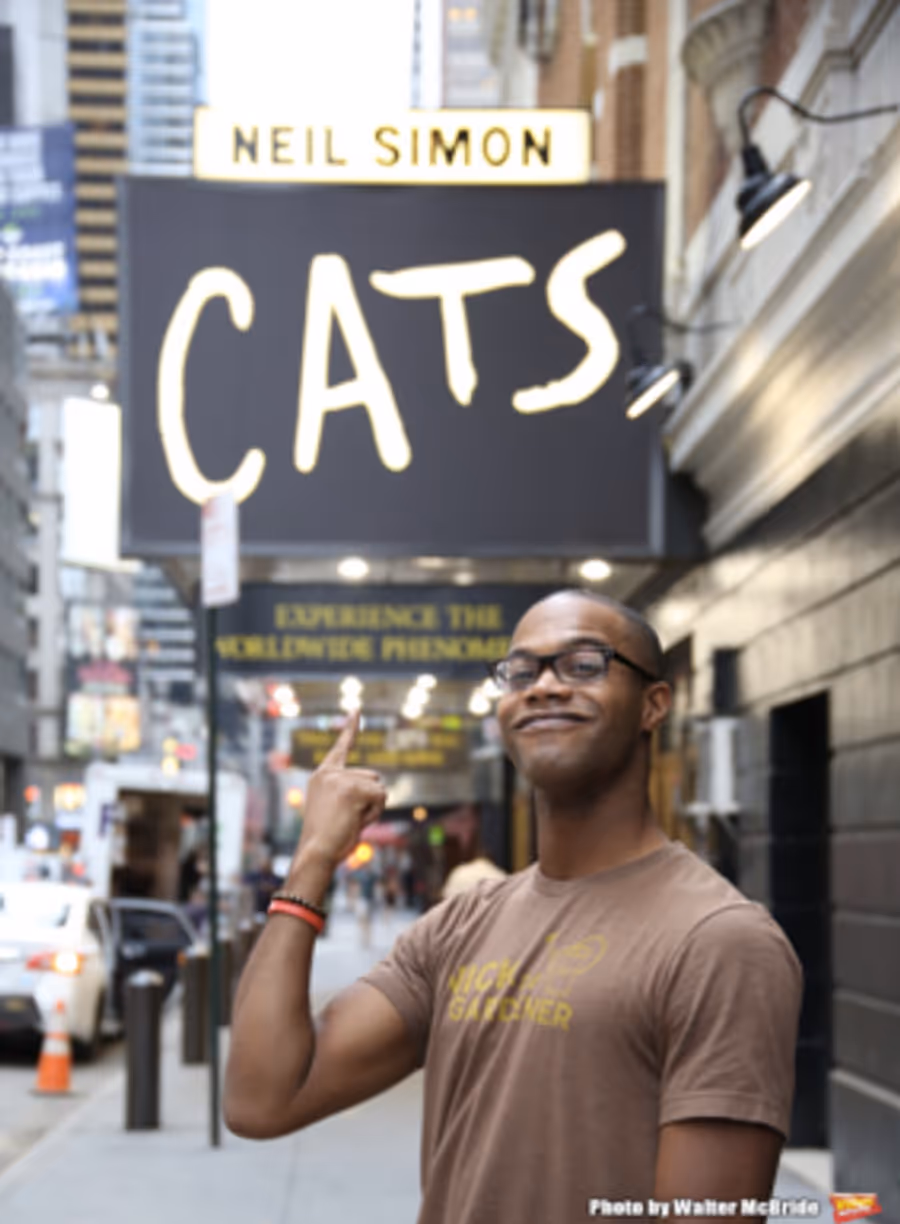 Highlights from BWW's Debut of the Month Special CATS Series Image