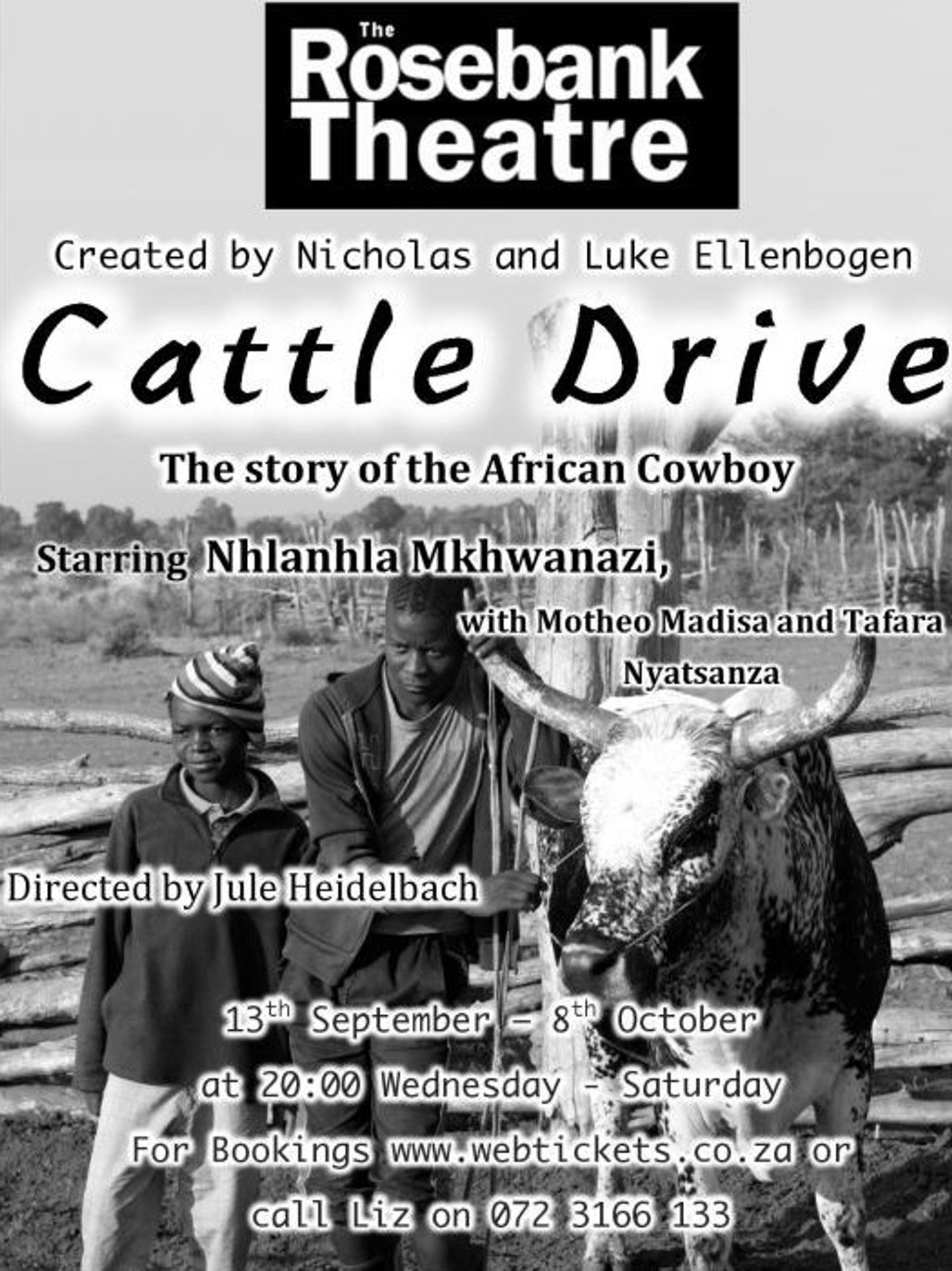 Rosebank Theatre's Glimpse of Africa, CATTLE DRIVE, Extends Run by Popular Demand  Image