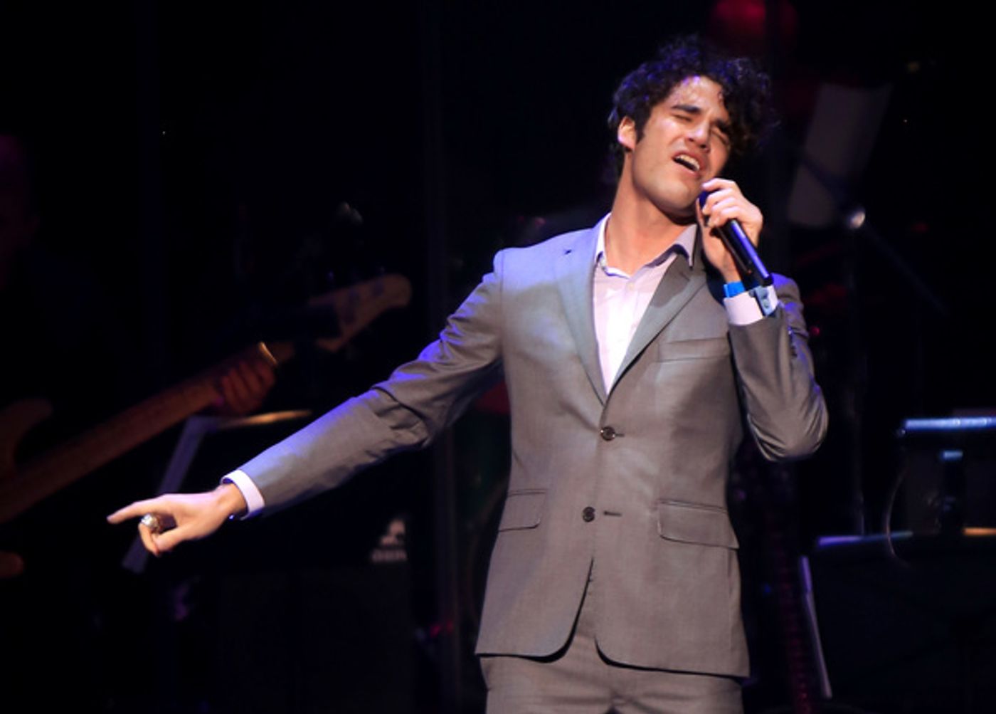 Photo Flash: Darren Criss, Megan Hilty and More at 'VOICES FOR THE VOICELESS' Foster Kids Benefit  Image