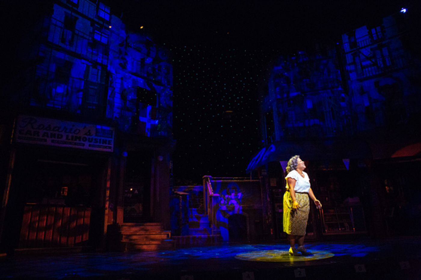 Photo Flash: First Look at Anthony Lee Medina and More in Starry IN THE HEIGHTS at TUTS  Image