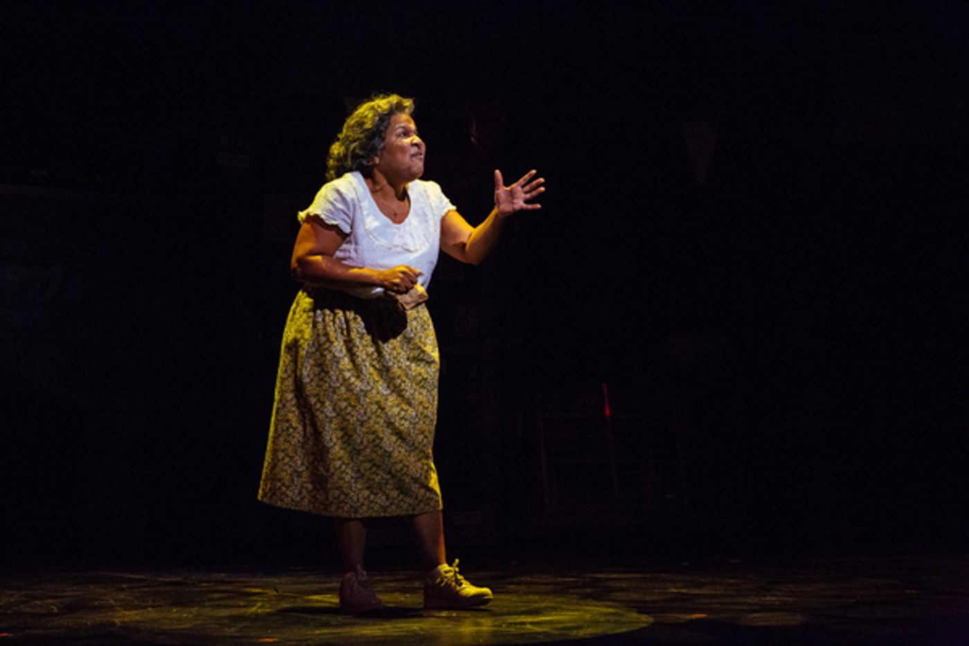 Photo Flash: First Look at Anthony Lee Medina and More in Starry IN THE HEIGHTS at TUTS  Image