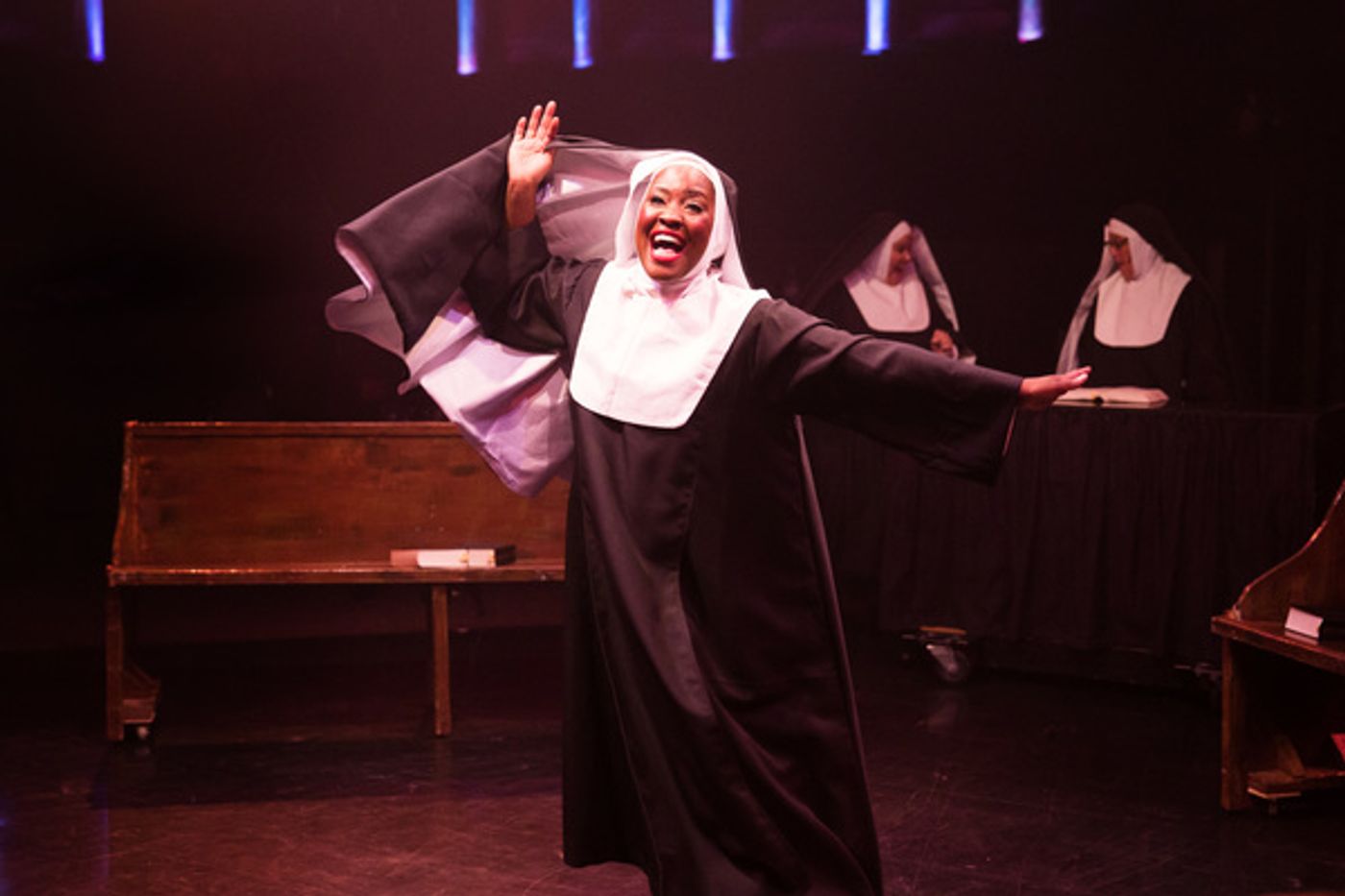 Photo Flash: First Look at SISTER ACT at Toby's Dinner Theatre  Image